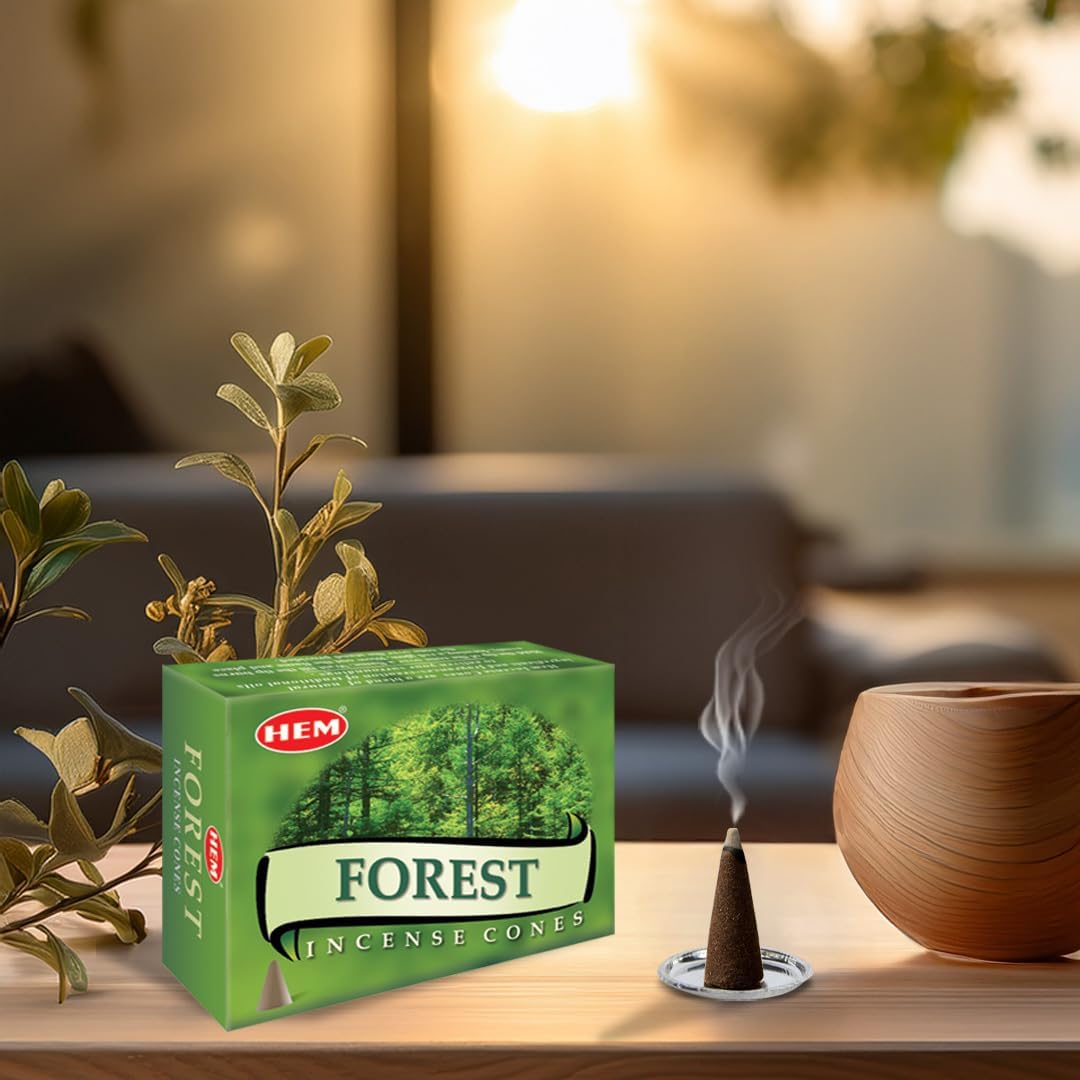 Hem Incense Cones | Natural Aromatic Blend for Purification, Protection & Spiritual Wellness | Long-Lasting Aroma (Forest) - Image 3