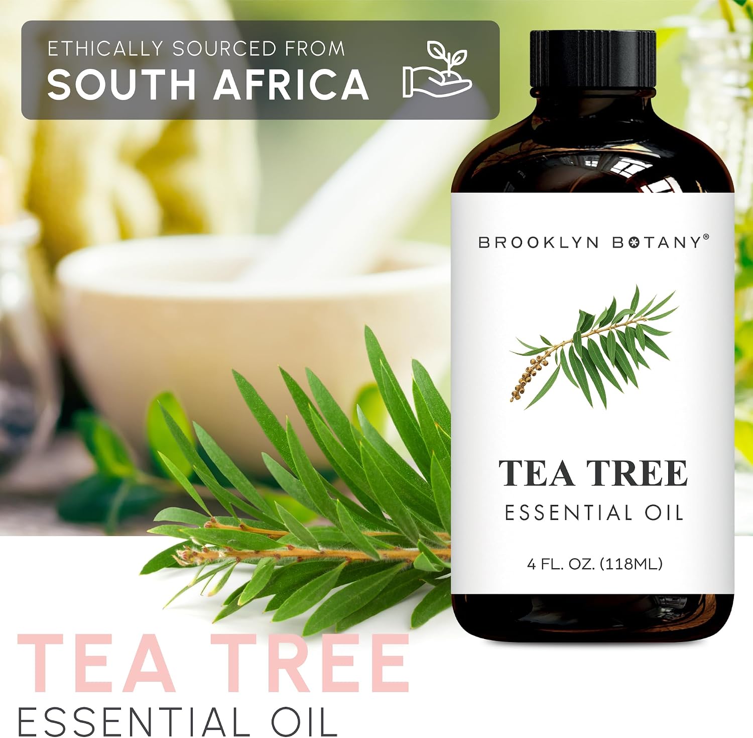 Brooklyn Botany Tea Tree Essential Oil - Huge 4 Fl Oz | 100% Pure and Natural, Steam Distilled, Premium Grade Oil with Dropper, for Aromatherapy, Diffuser and Massage - Image 4