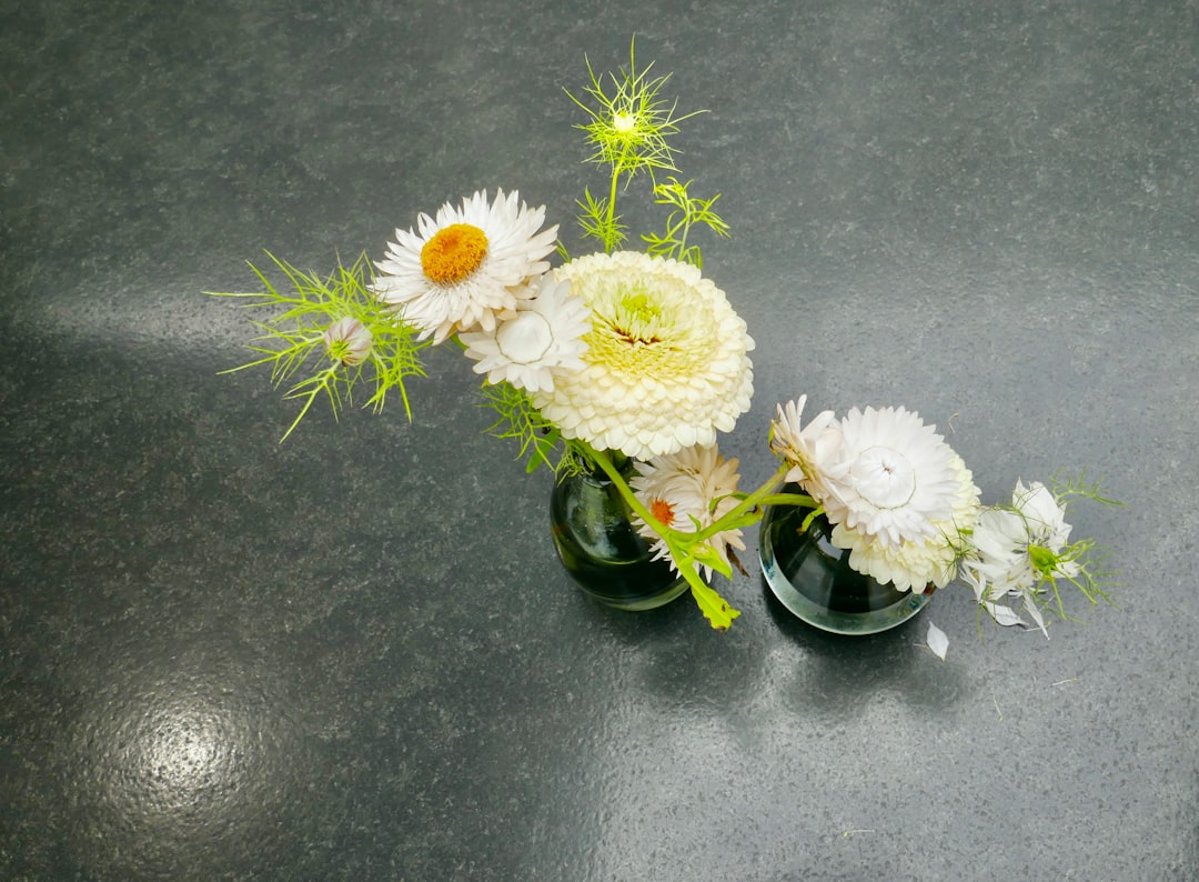 Creating a Signature Scent for Your Home: A Step-by-Step Guide Creating a Signature Scent for Your Home: A Step-by-Step Guide
